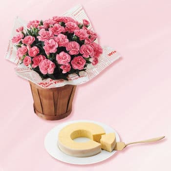 【母の日限定 生花】カーネーション鉢植え「オスカーピンク」４号とユーハイム バウムクーヘンのセット