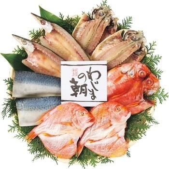 干物セット（5種9枚入）