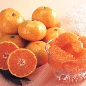 和歌山県武内園の有田みかん3kg