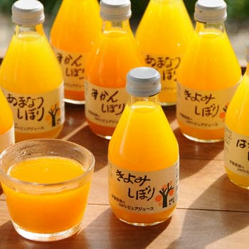 4種の柑橘ジュース（8本入）