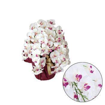 アーティフィシャルフラワー 5本立ち胡蝶蘭