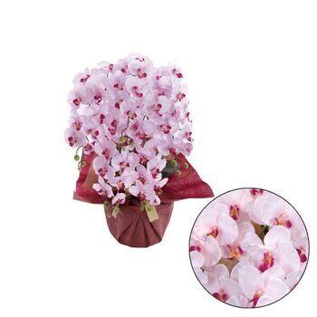 アーティフィシャルフラワー 5本立ち胡蝶蘭