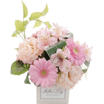 【生花】ラウンドアレンジ