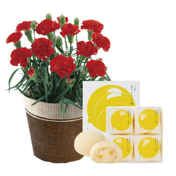 【生花】ミニカーネーションレッド4号&月でひろった卵セット