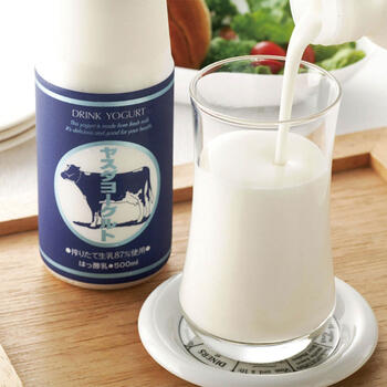 ヤスダヨーグルトギフト S2464