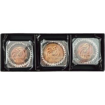 【紙袋付】至福のショコラモンブラン（3個入）