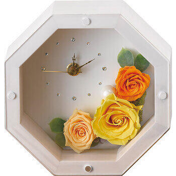 MOLYアンティークホワイト（プリザーブドフラワー）