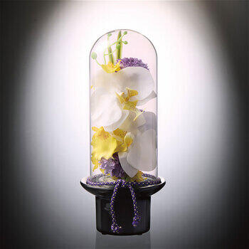 プリマガラスドームの供花胡蝶蘭（造花）