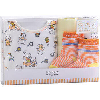 ソックスギフトボックスこぐまちゃん