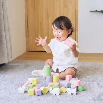 純国産お米のおもちゃシリーズお米のどうぶつつみきいろどり