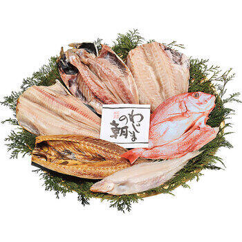 大きな干物セット