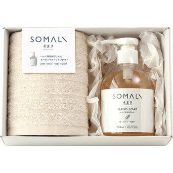 ハンド用液体石けんとタオルのセット