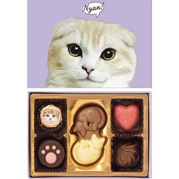 【紙袋付】にゃそーてっどチョコレート（6個入）