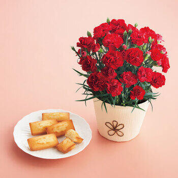 【生花】フィナンシェとカーネーションレッド4号セット