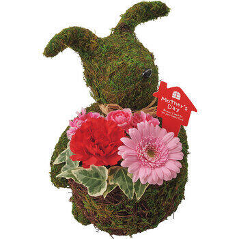 【生花】モスラビット・アレンジ