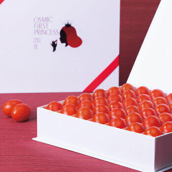 オスミックファーストプリンセス（450g）