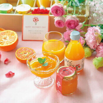 果汁100％ピュアジュース＆寒天ジュレセット