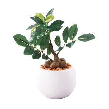 ミニ観葉ガジュマル（フェイクグリーン）