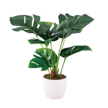 ミニ観葉モンステラ（フェイクグリーン）