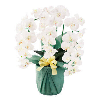プラチナ胡蝶蘭（アーティフィシャルフラワー） HCA2-WY-23