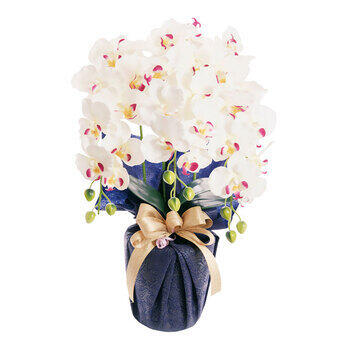 プラチナ胡蝶蘭（アーティフィシャルフラワー） HCA2-WB-23