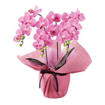 ミニ胡蝶蘭三本立ち（アーティフィシャルフラワー） minipo-fp