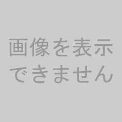 ドリップコーヒー詰合せ MHO-BZ