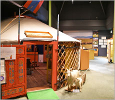 日本・モンゴル民俗博物館