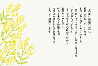 カード SD-A004_Y フリー2