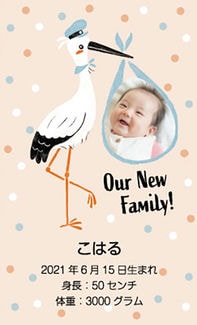 カード SU-M009_T 出産内祝い mini9