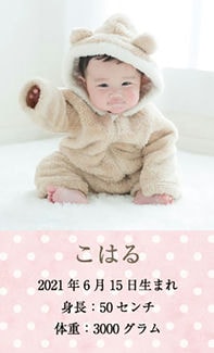 カード SU-M011_T 出産内祝い mini11