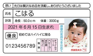 カード SU-M034_Y 出産内祝い mini34