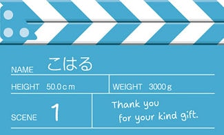 カード SU-M053_Y 出産内祝い mini53