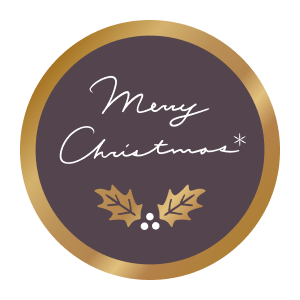 ギフトシール・のしシール rs_70 Merry Christmas(ブラウン)